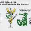 Autocollant Cigale FM/CEC 