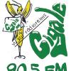 Logo Cigale FM avec fréquence